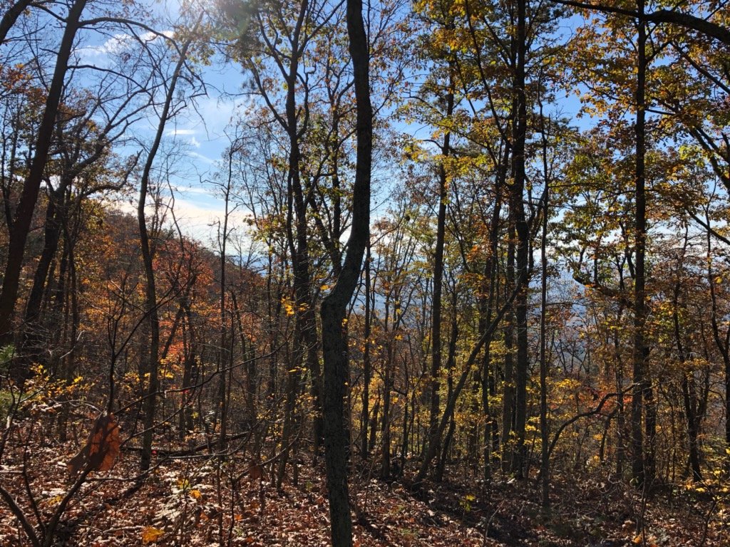 Attach42399_20181118_205257.jpg