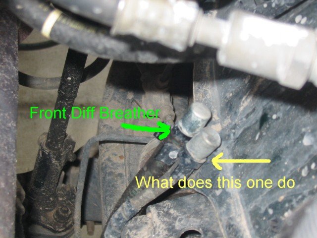 attachment_b0dd255f066b3f716f2e46754777eac06bd51699.jpg