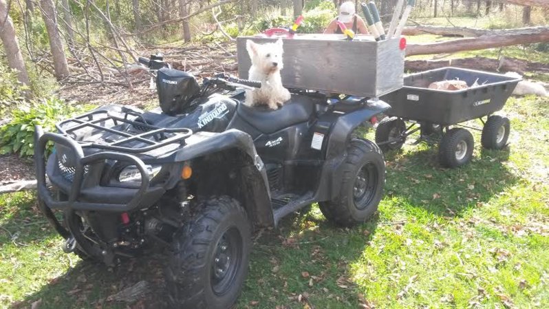 ATV_shotgun.jpg