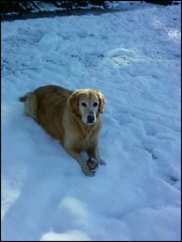 audasnow_f3e5dfcffb188087b630f6293d497037738cf11f.jpg