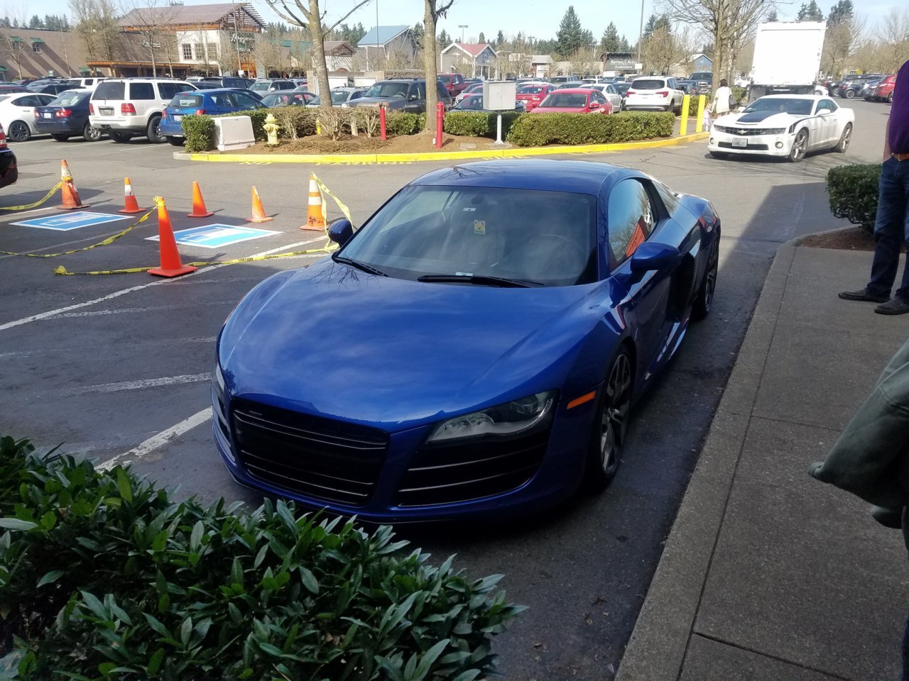 audi2.jpg