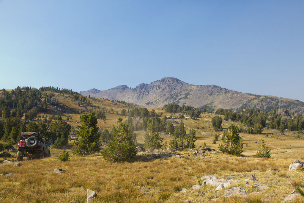 aug16_74f7ba11aaa79ac2f289aedca22091dfc67dc0c1.jpg