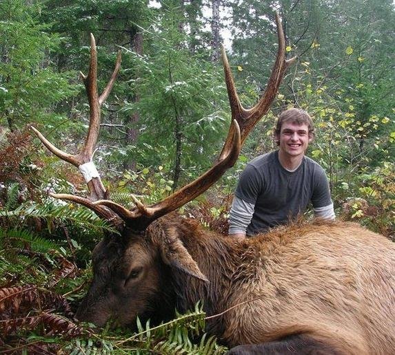 August 24, 2010 Elk.jpg