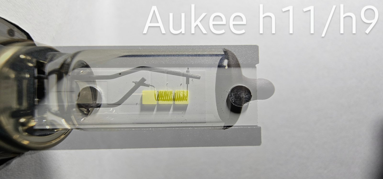 Aukee.jpg