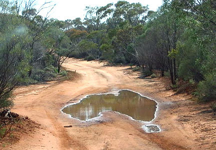 australia-map-puddle.jpg