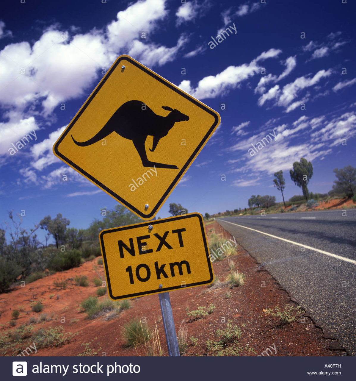 australia-northern-territory-outback-kangaroo-road-sign-A40F7H.jpg