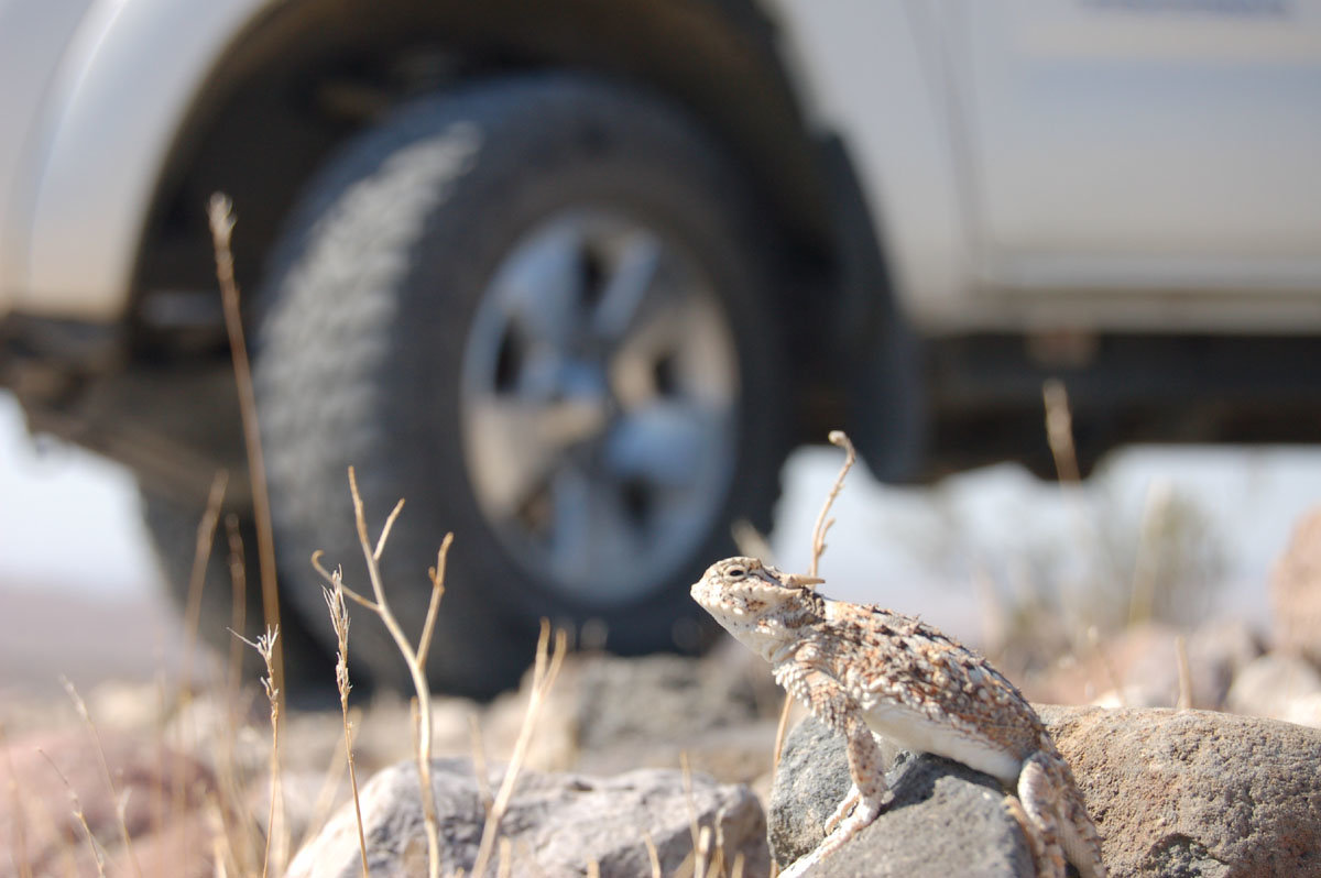 authorityoffroad3.jpg