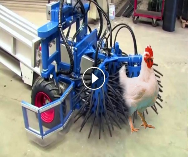 automatic-chicken-turkey-catcher.jpg