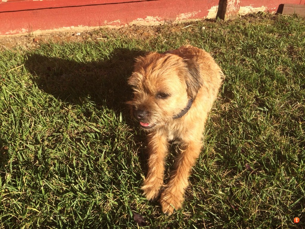 avady2uq_ade4102927bbfbc1c7139939031a6ae40b6b58e7.jpg