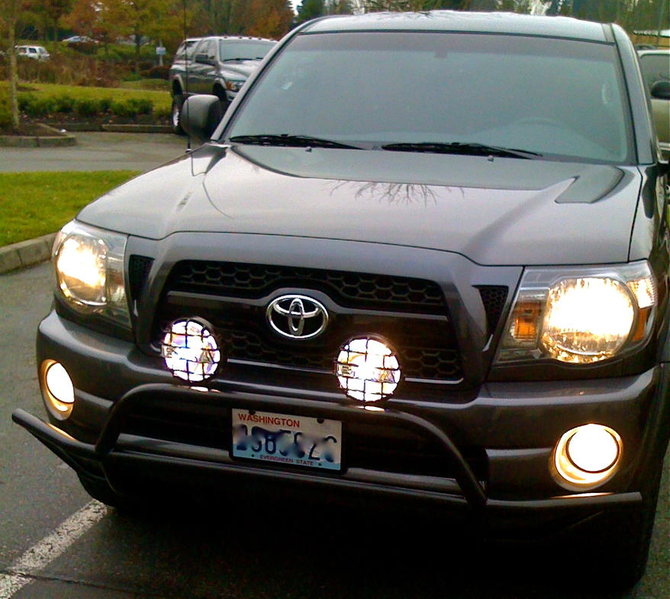Avid&Lights.jpg