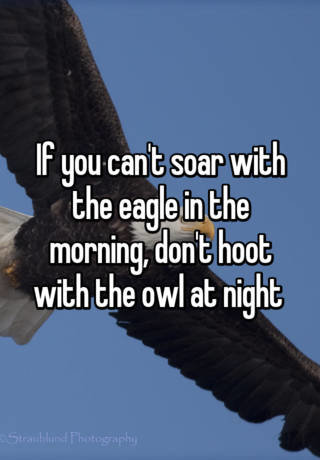 avMmx8DDmLtl5ORgtPCksekSIP1zlySD1dCbdqVC_db57c1640e98923d0efbcf9f44280940ce2b8991.jpg