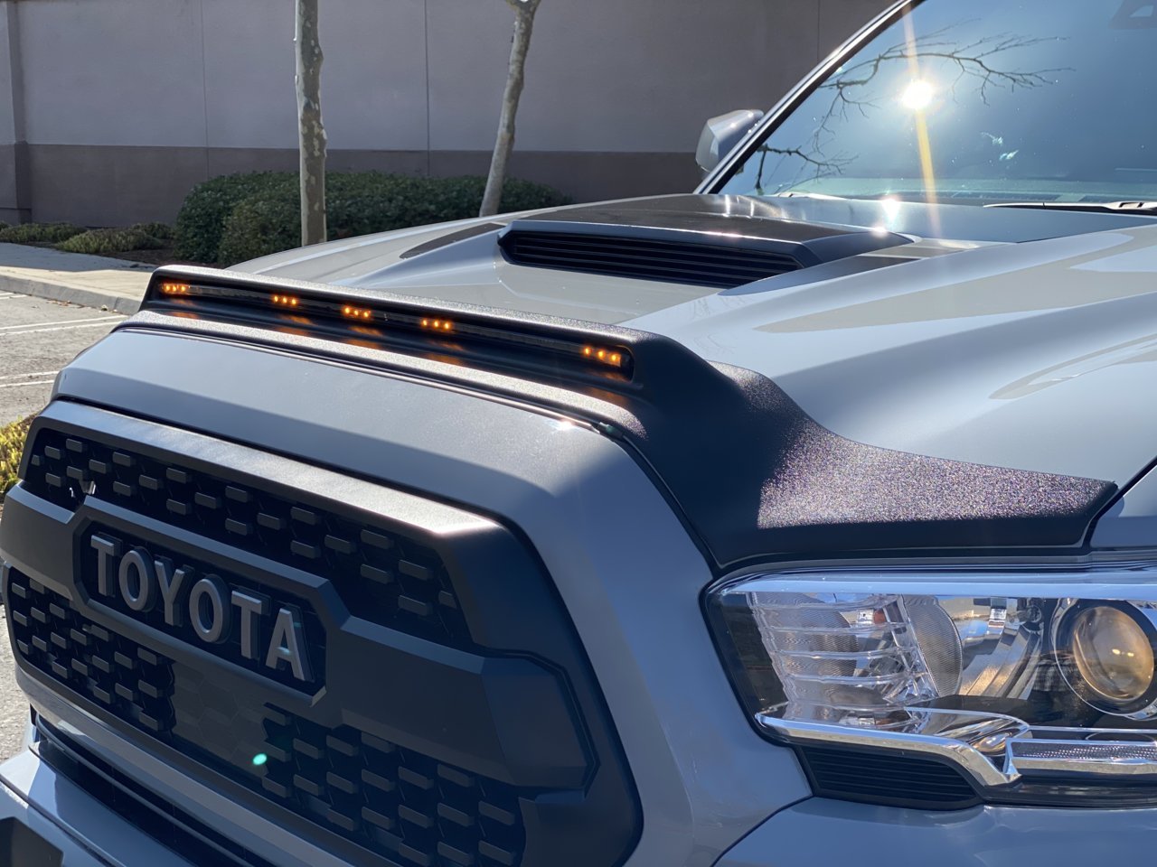 AVS LIGHTSHIELD HOOD PROTECTOR | Tacoma World