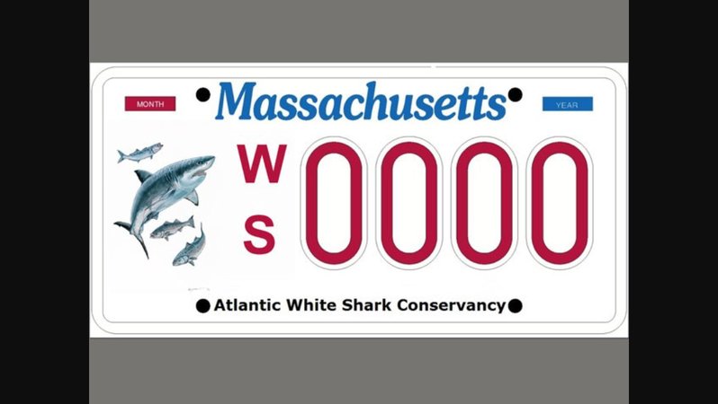 awsc plate.jpg