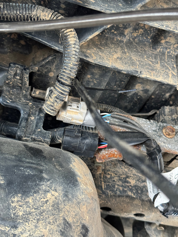 AxleAndWiringHarness43.jpg