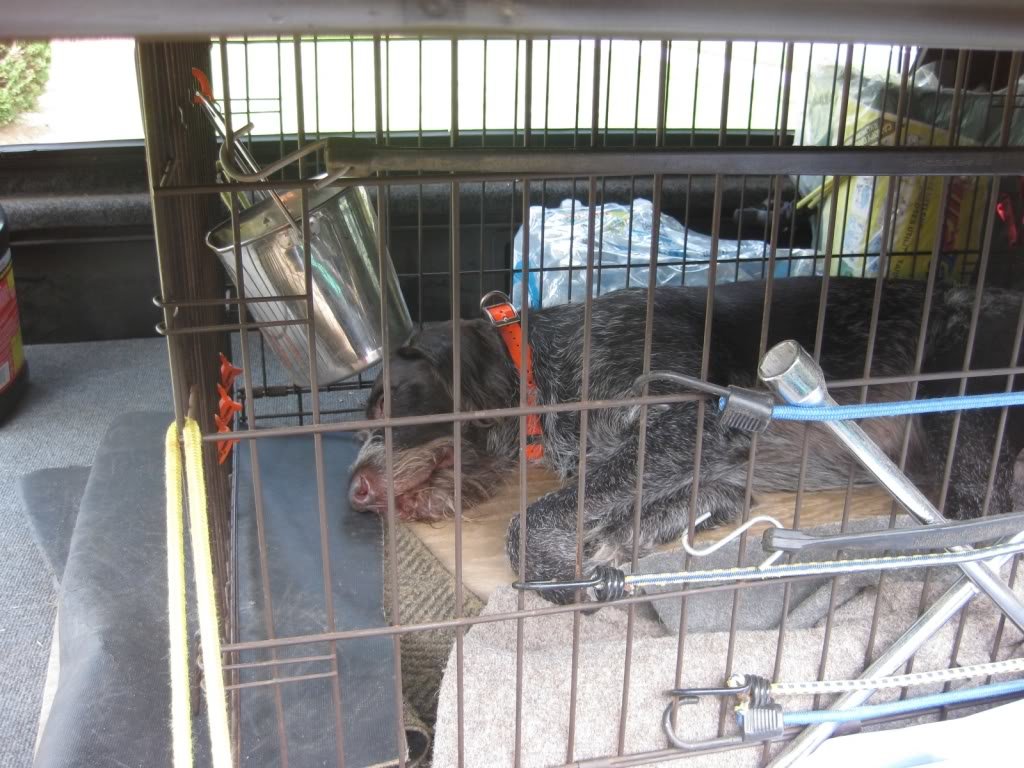 AxleSide_c1f2fa12c7aaf5bd4c30a0e01811cd19f57ca355.jpg