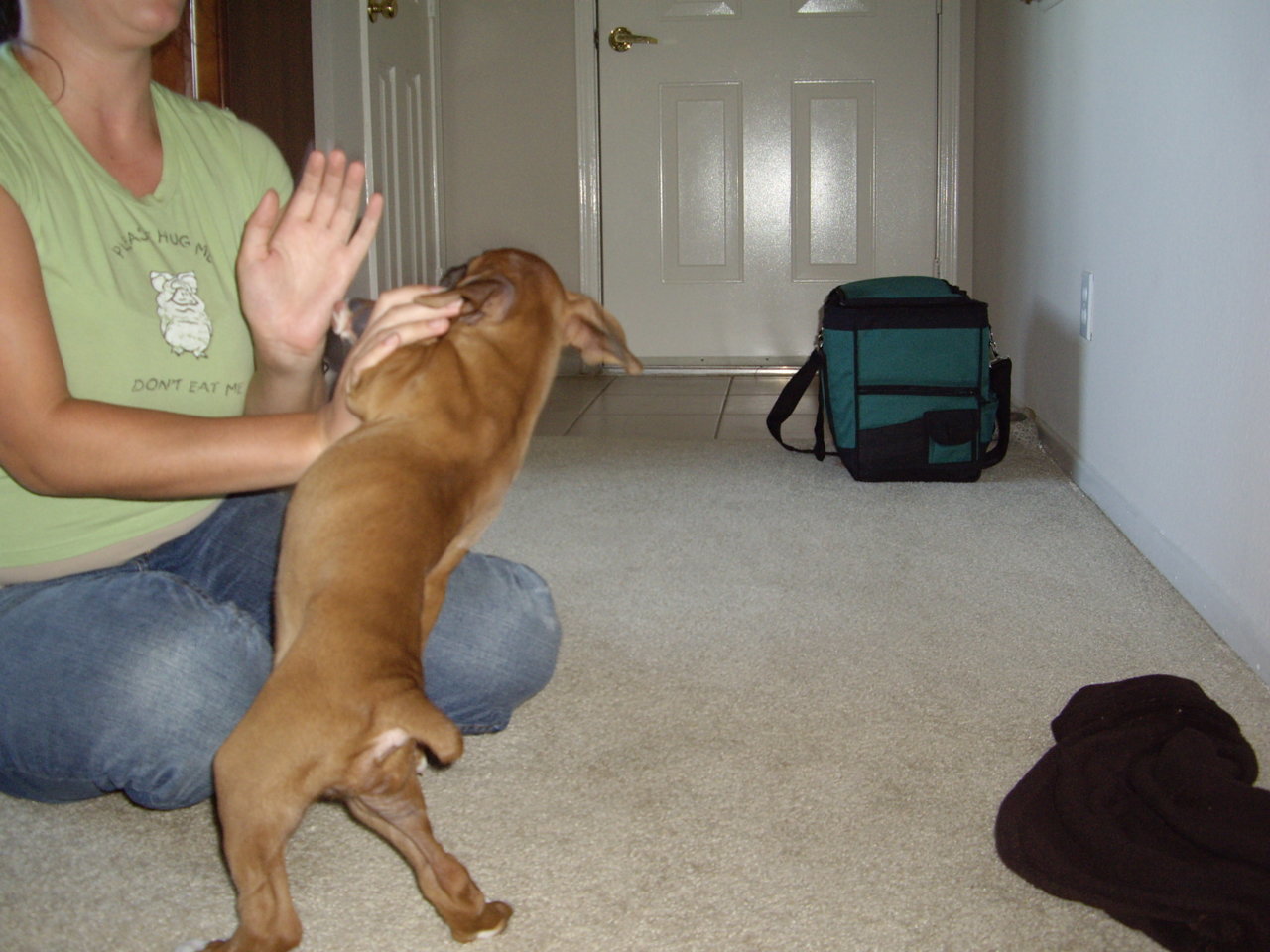 AZ and Puppy 041.jpg