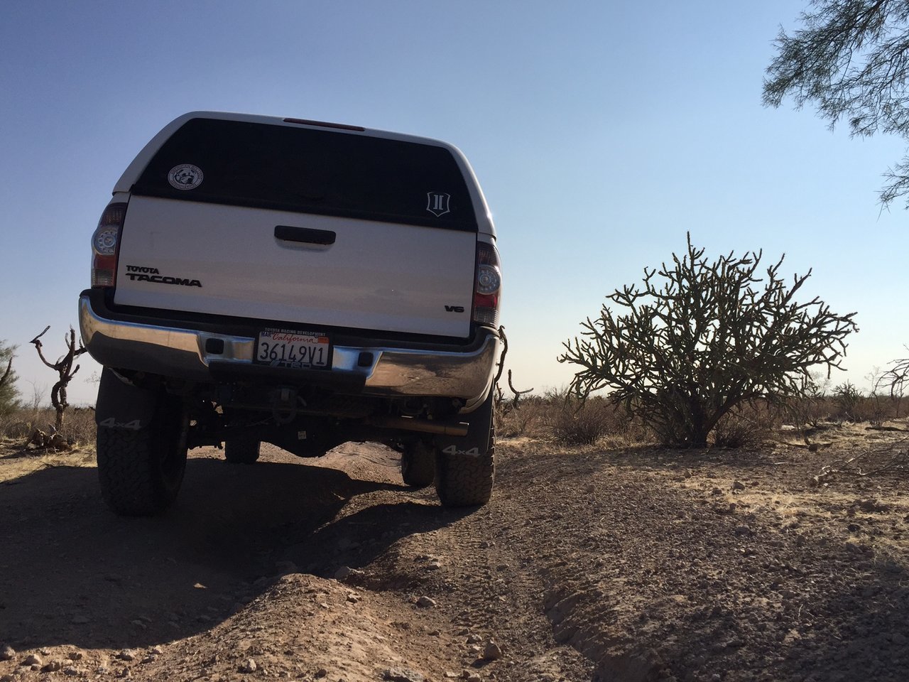 AZ Articulation2.jpg