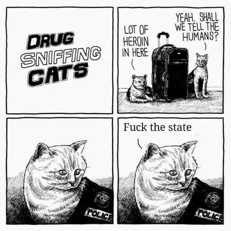 az1ZVLj_460s.jpg