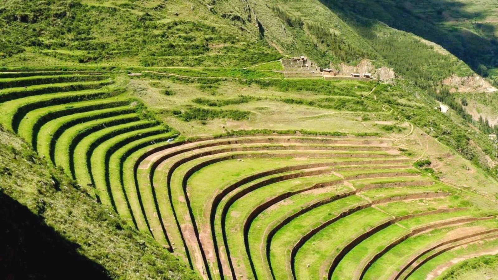 Aztechi-ed-agricoltura-2187281545.jpg