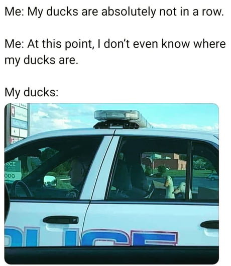 aZyQmmn_460s.jpg