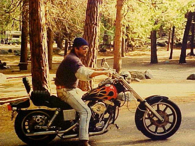 B. DON TAYLOR.jpg