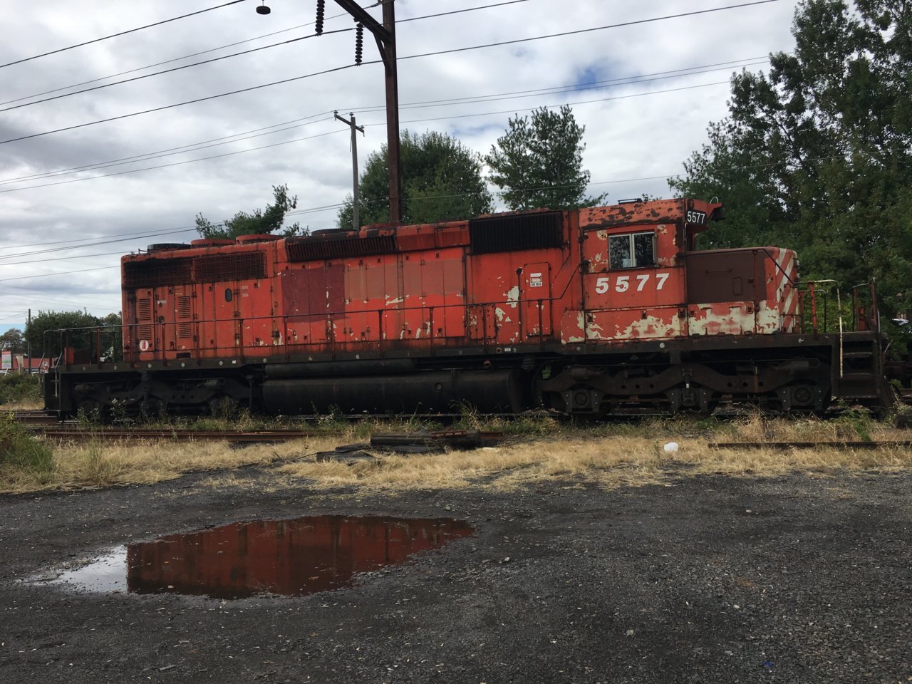 B005AE60-46DB-4276-B705-5E592E29E79B.jpg