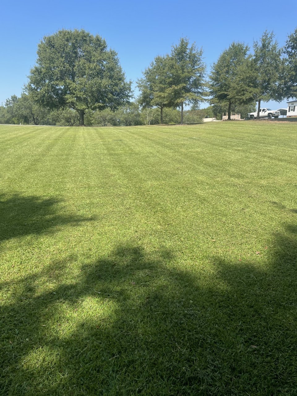B06DBB36-48FA-4562-AF61-5DEABBEB7CF1.jpg