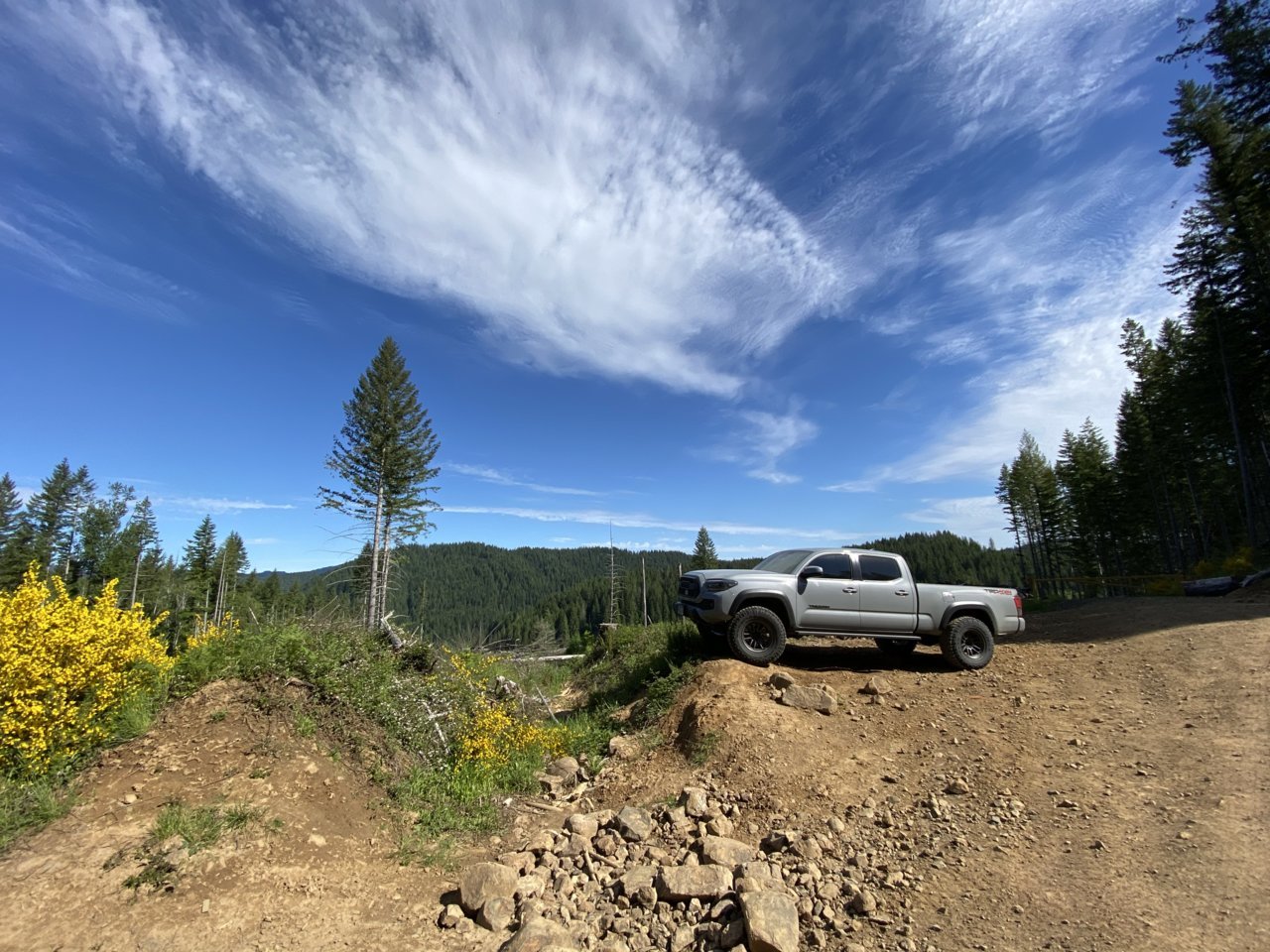 B07685A3-C3EF-497D-A42C-96C5B2996BC5.jpg