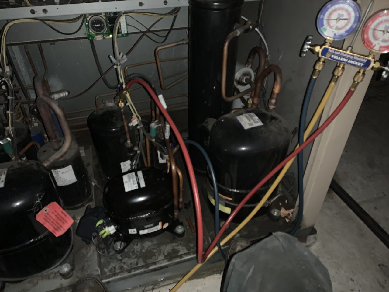 B08089D4-280E-4BC2-8EA7-EA2063DA9A97.jpg