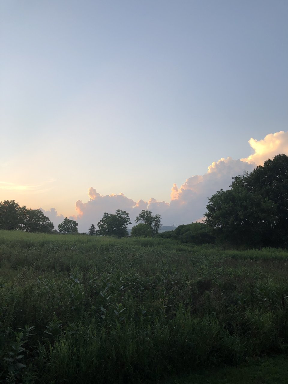B0BCDF6F-DE94-4E46-90B4-D74B54E769EA.jpg