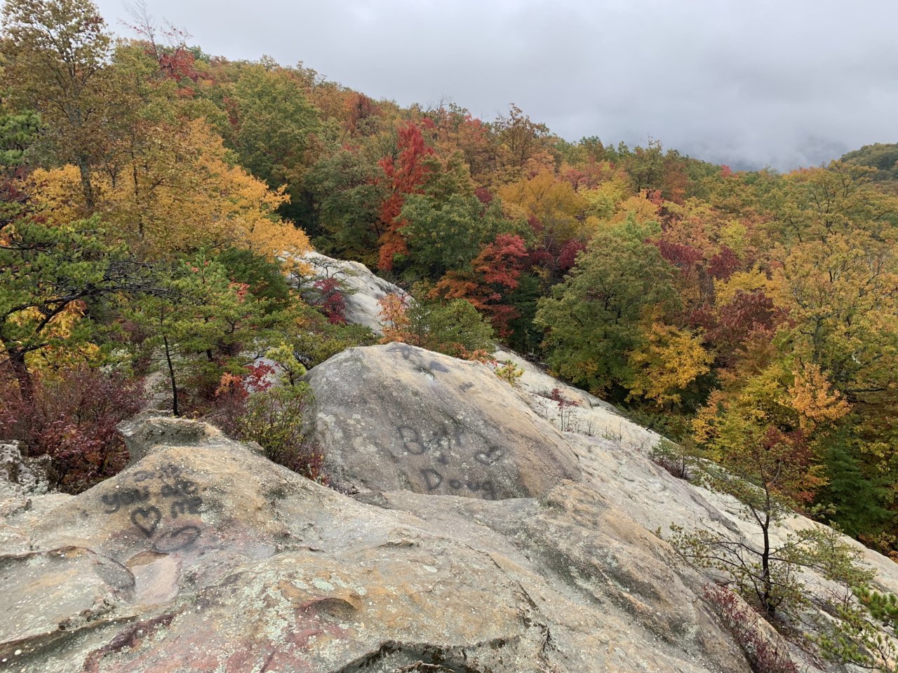 B0F2C330-3881-483D-B989-76676E8096B6.jpg