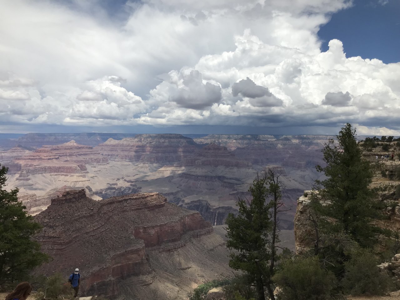 B123E1BA-7769-459E-BE6F-2C51FE65725B.jpg