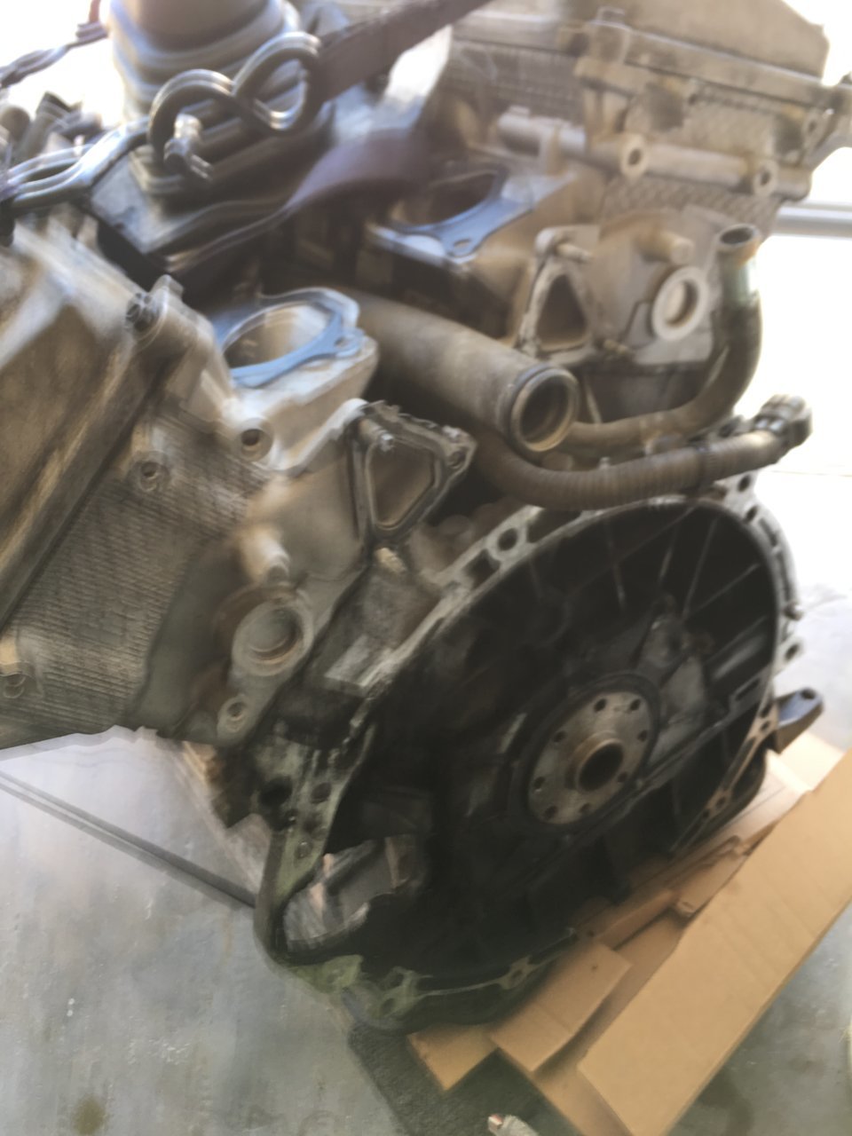 B17E1217-25D7-4FA8-852C-1A02F483600C.jpg