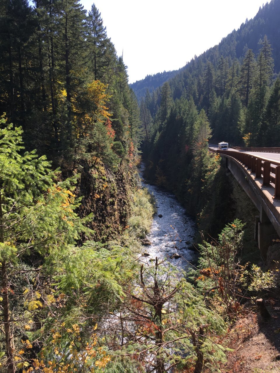 B1B9F598-C183-4644-AF31-7C70F4FCC434.jpg