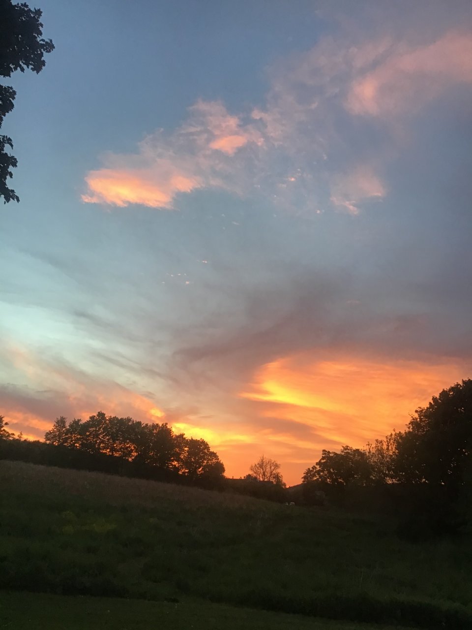 B1EC5725-A85E-4675-81E4-477CFDB06ED1.jpg