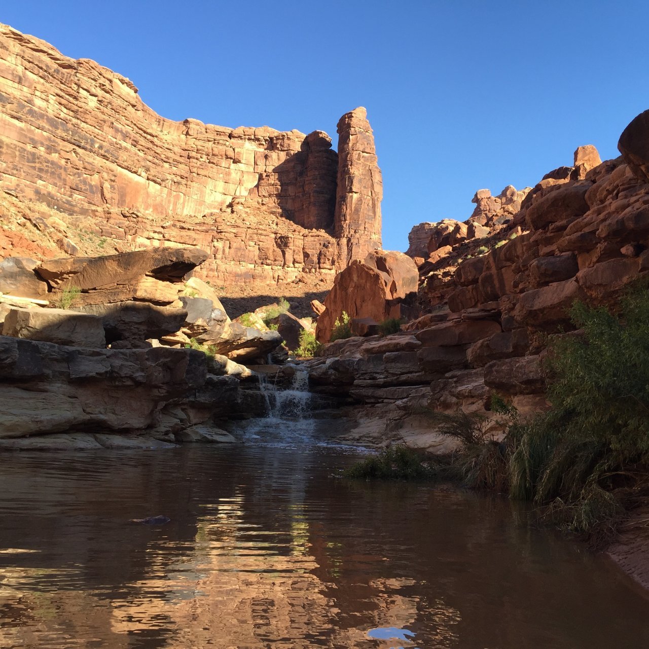 B1ED41FE-17CE-4057-B019-BA26422951A7.jpg