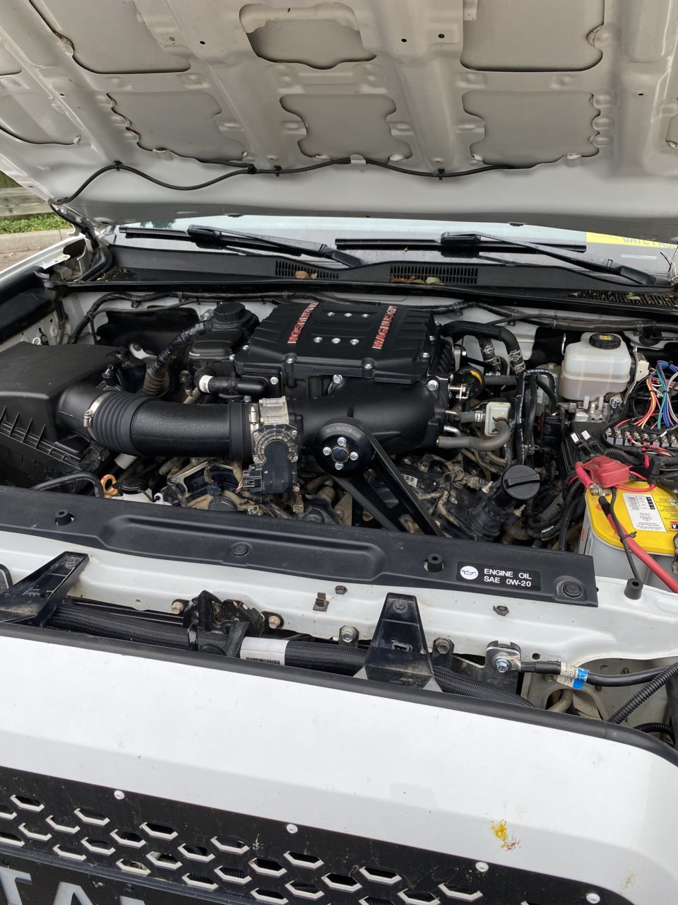 B2188EDD-DD32-4D5A-8CEC-AA5BF32F4529.jpg