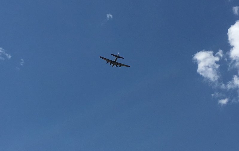 B29.jpg