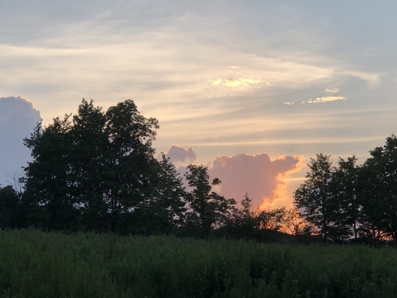 B2DA965C-B9F5-4DC8-92EB-65BCB4C33DE4.jpg