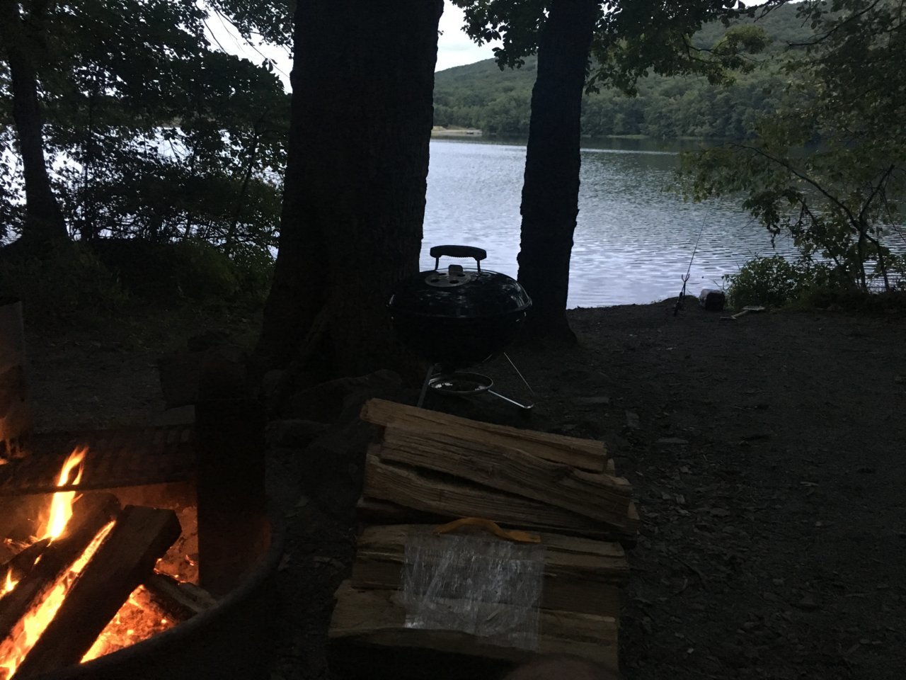 B356D4D6-E399-4AC4-83F7-85662D1B0DA4.jpg