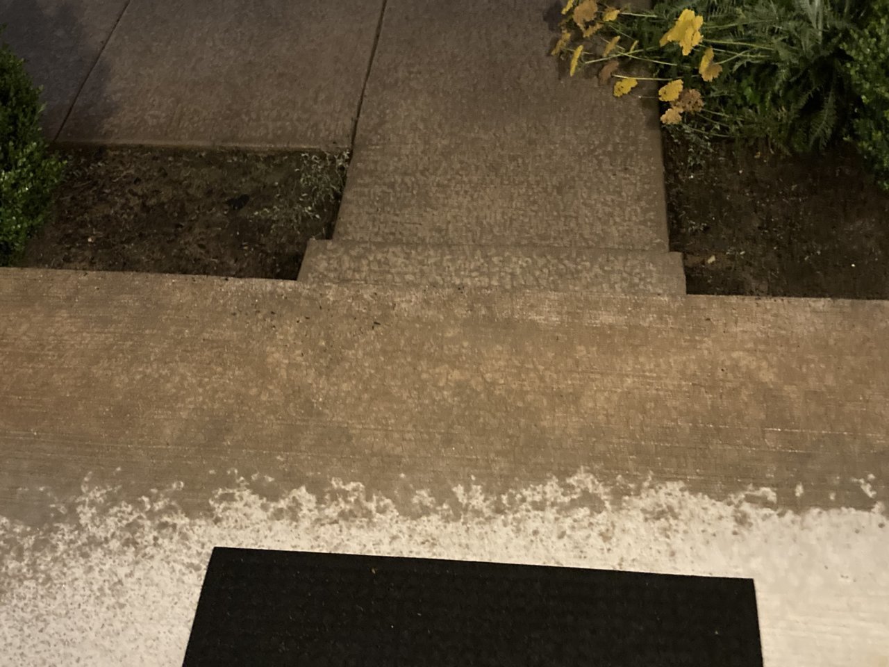 B3AA1165-2FBE-4E15-9280-50B400D1CBA7.jpg