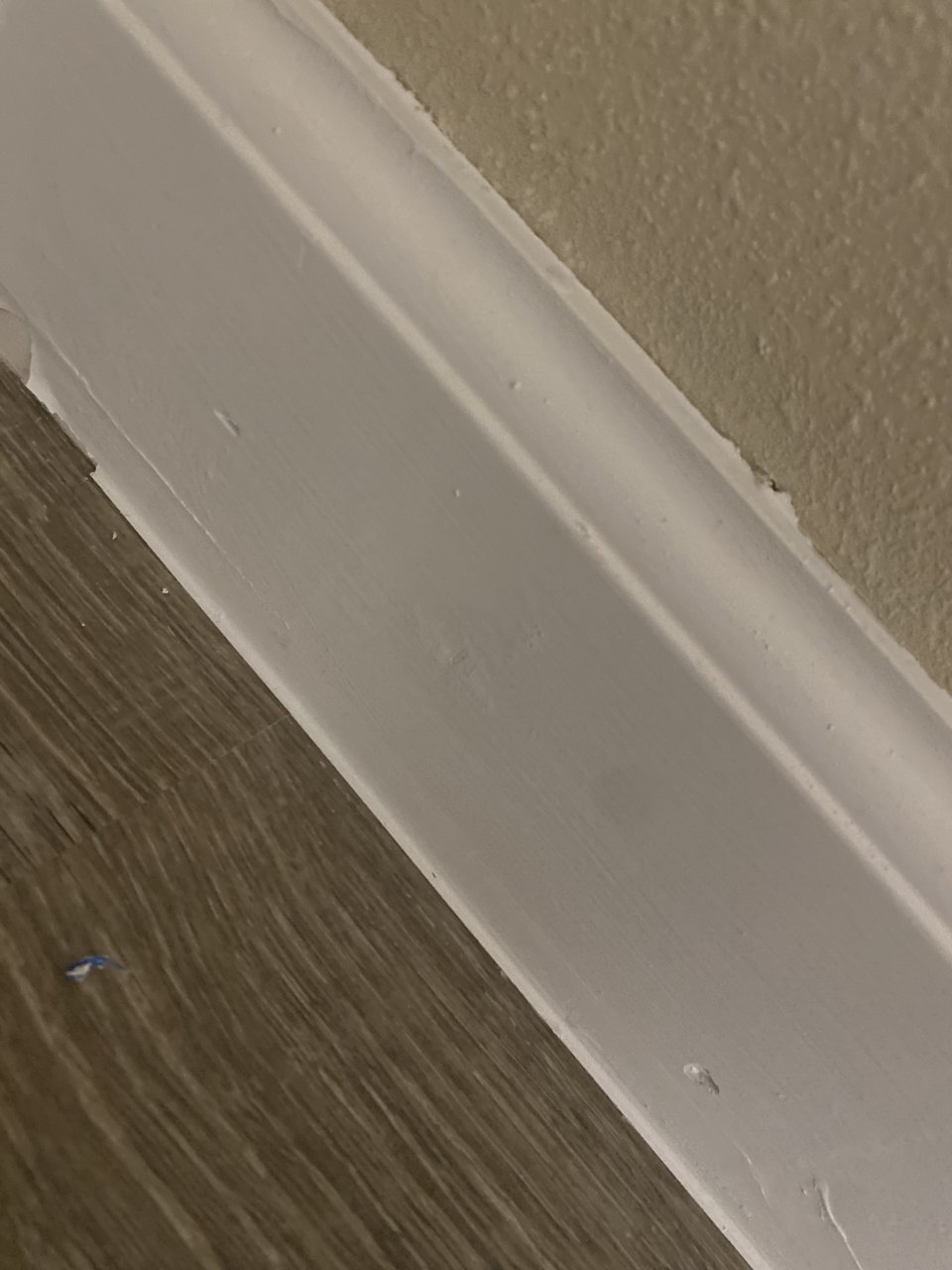 B3D9D505-8D57-40D8-8953-499899D94847.jpg