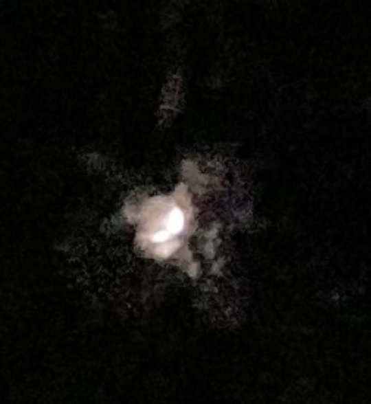 B41A10E7-CDB4-4484-86E6-9E2D896A6E8B.jpg