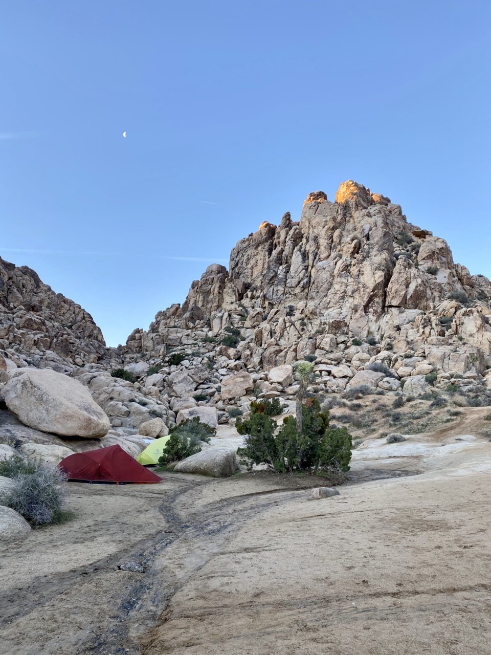 B445CA04-442D-4E2F-8644-68F67418EE17.jpg