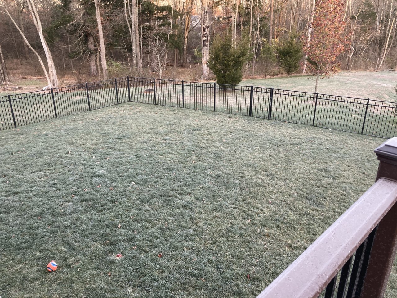 B44E863F-0070-4B05-ADBA-6623837DE15A.jpg