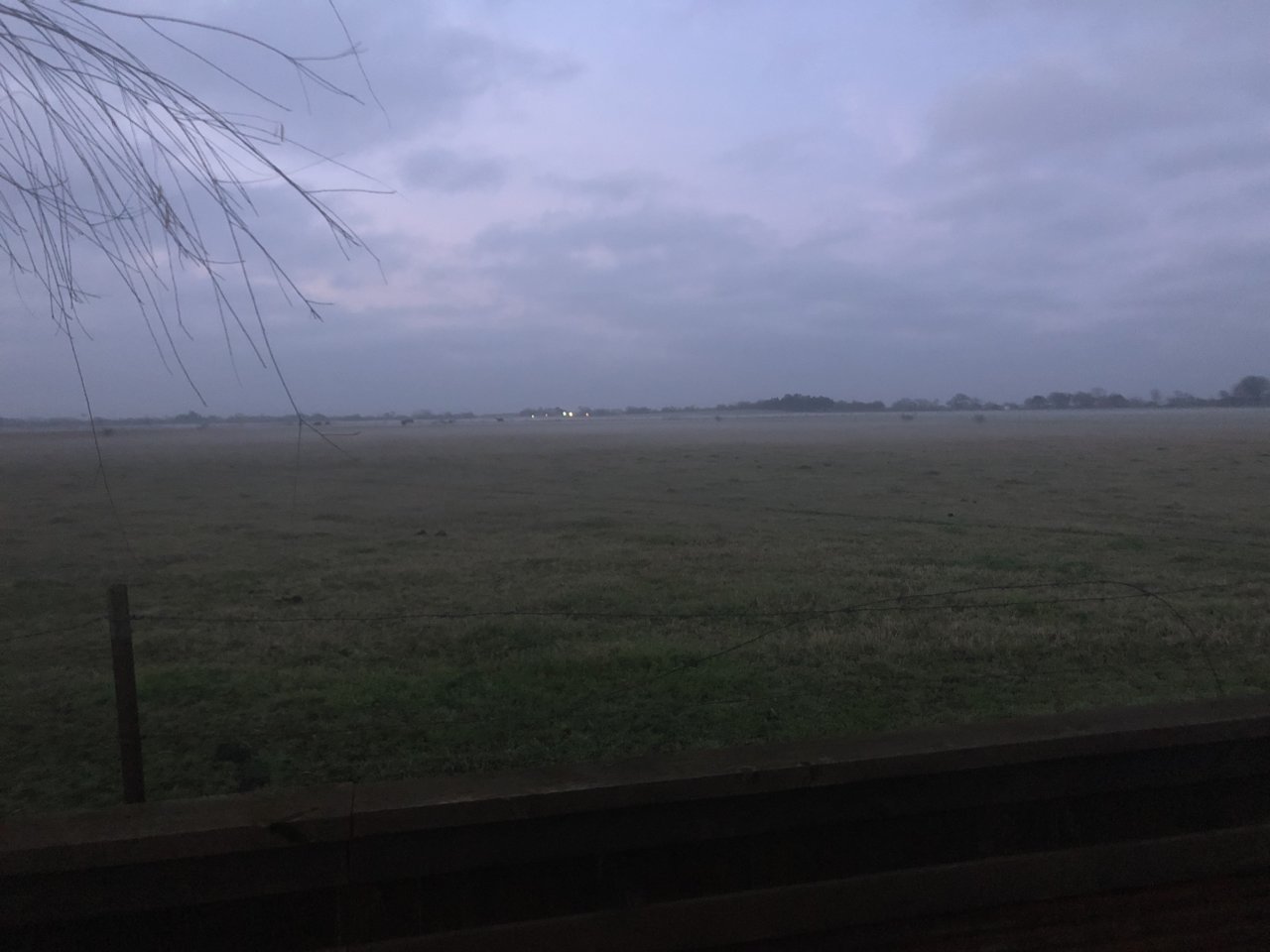 B4540375-C9DB-4068-BE9F-7A75C7180683.jpg