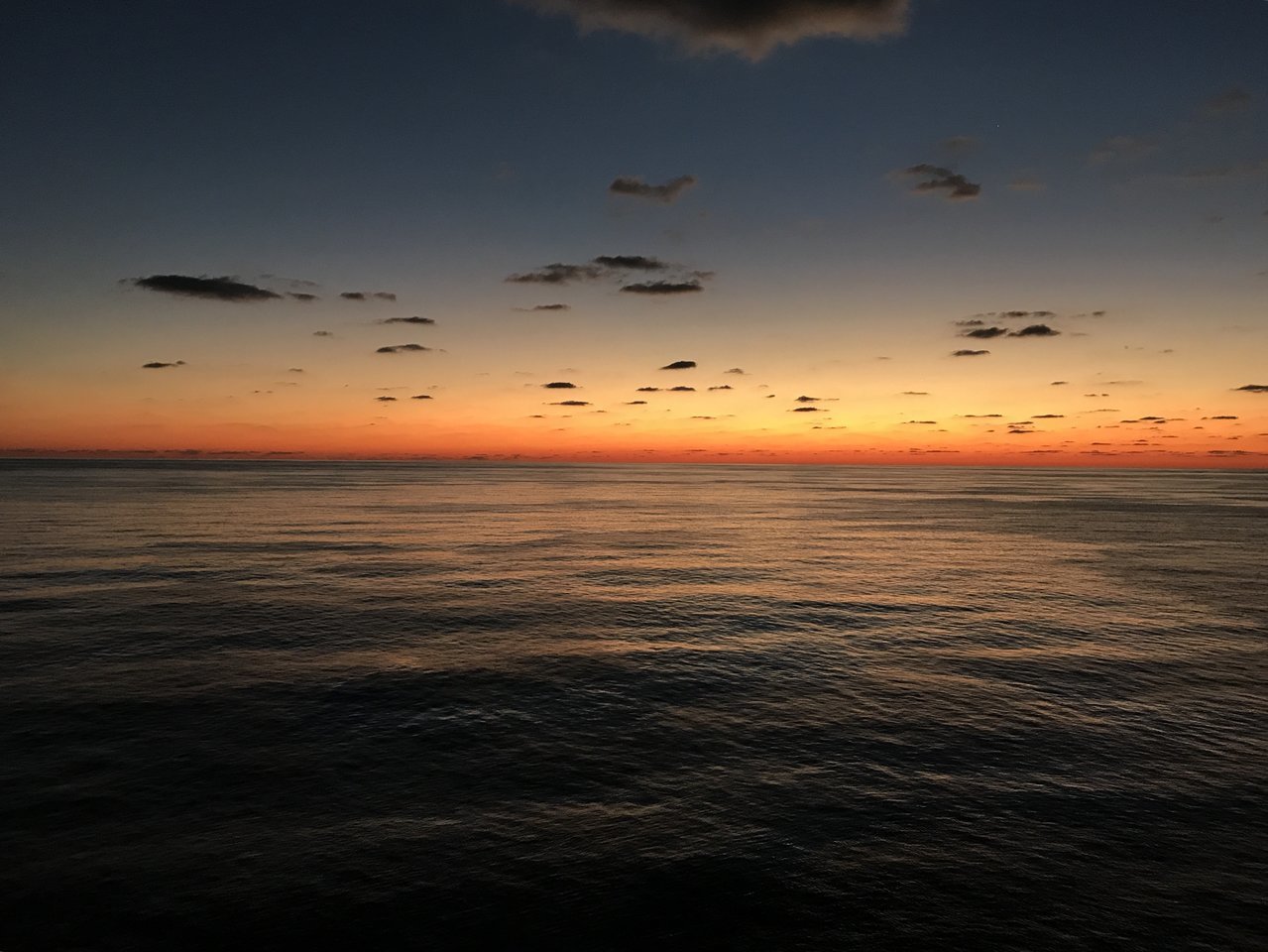 B46B8F68-D293-43AB-9596-EBAED1DA99D9.jpg
