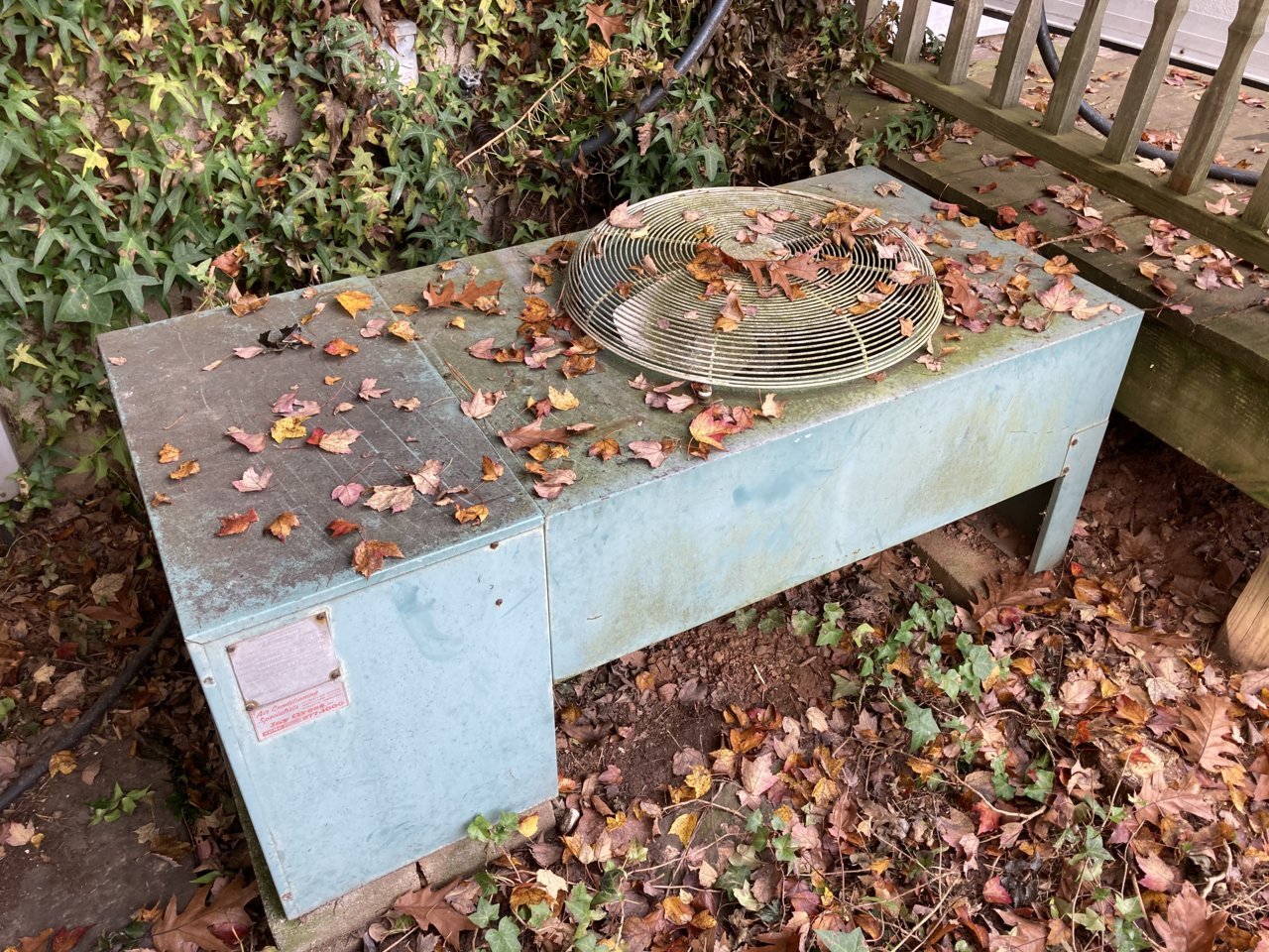 B48E666C-B30C-4287-A1AA-A6AB5B6350A5.jpg