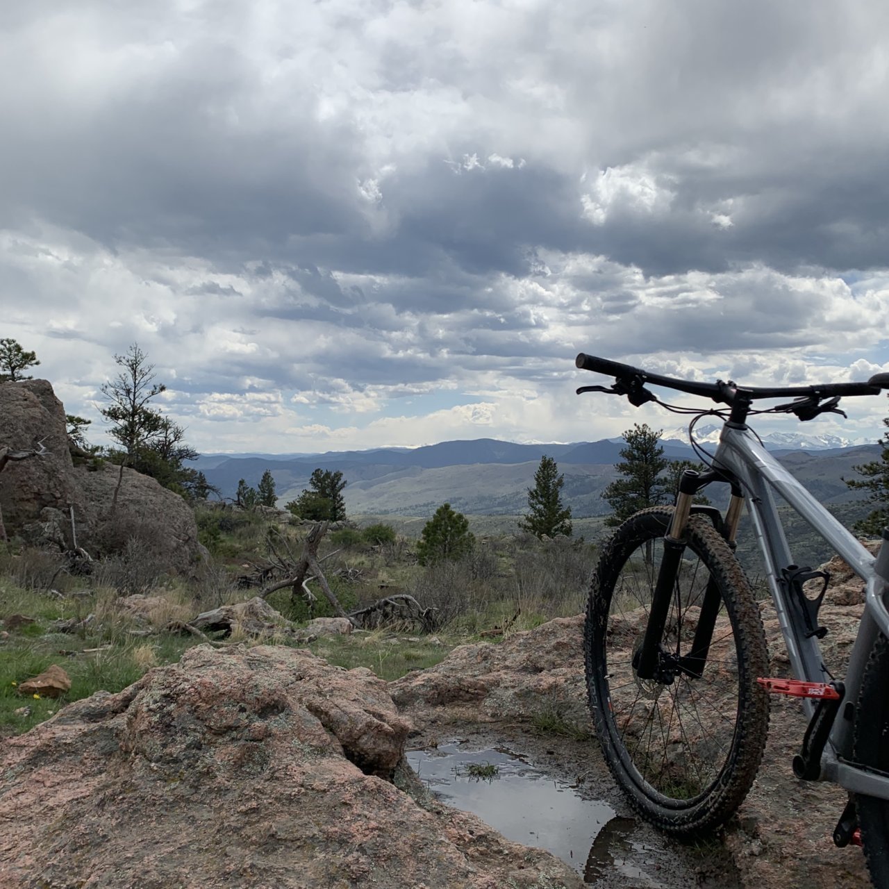 2019 trek x caliber 8