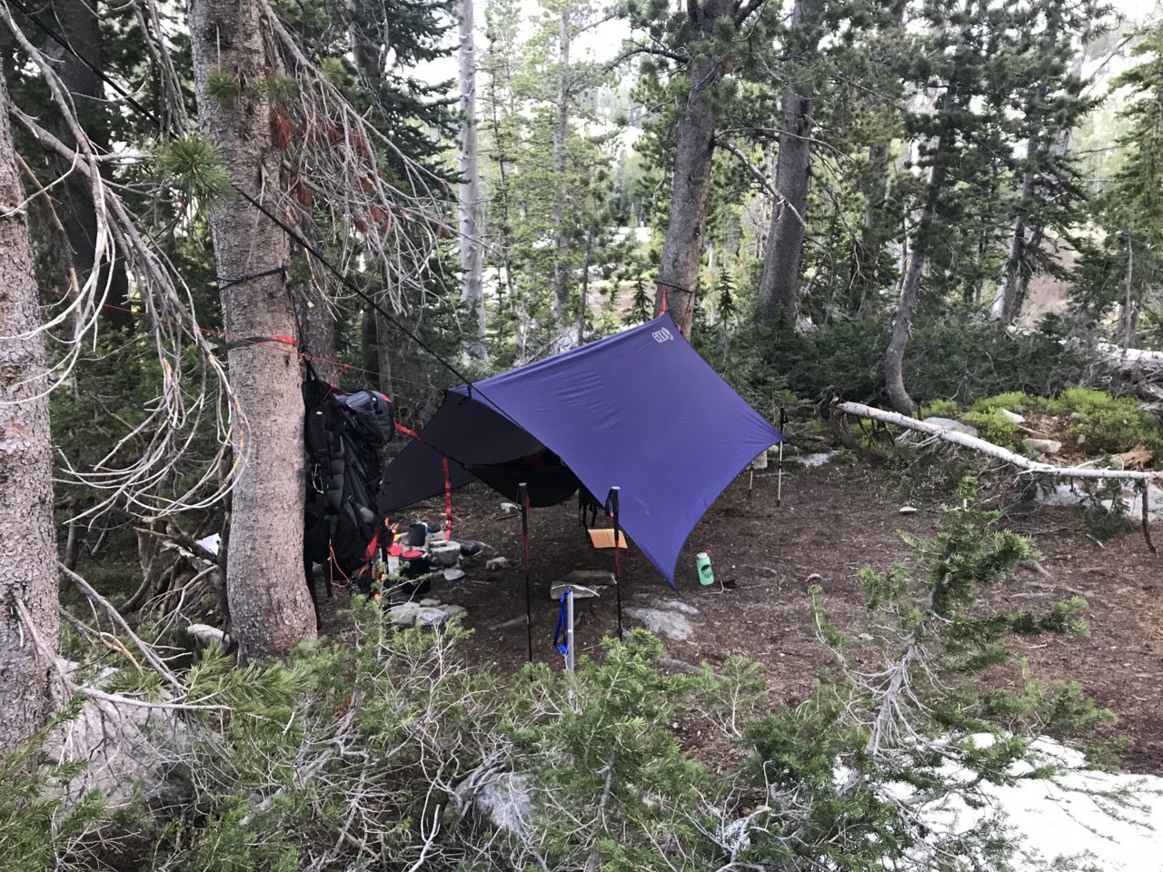 B509AA86-F849-49E8-AAB5-FCDCEA0B3BA8.jpg